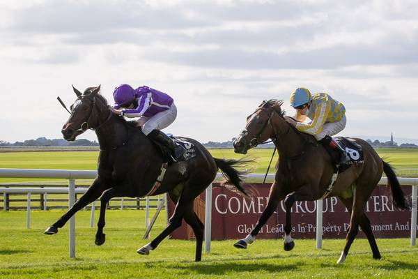 Punters at the Curragh will be restricted to Tote betting this weekend