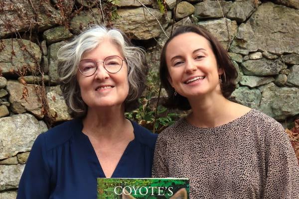 Barbara Kingsolver: ‘The first time I set foot in Ireland I felt so at home. Something about the language, the culture’