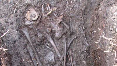 Murder mystery  as 600-year-old body found