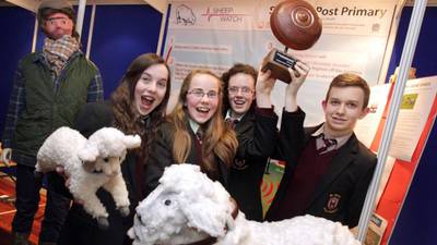 Lessons to be learnt from Ireland’s teenage entrepreneurs