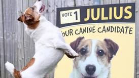 Ballot Capers: Cry havoc and let slip the dogs of war