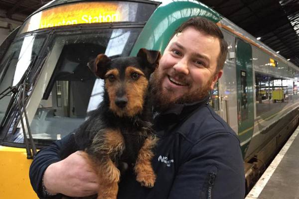 Hamish the Irish Rail dog reunited with family after online appeal