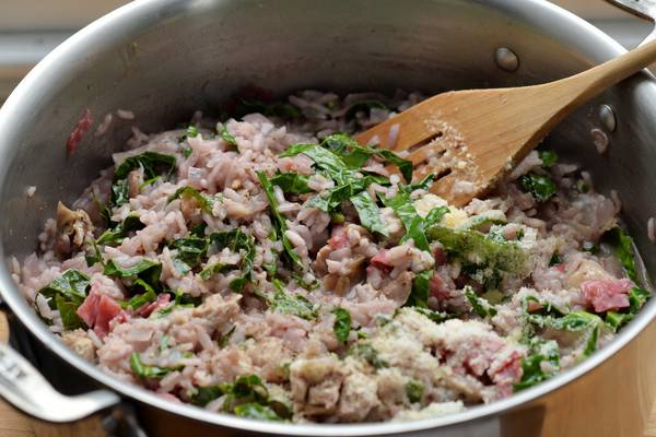 Duck risotto with cabbage, salami and red wine