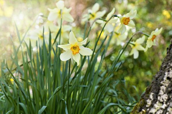 Sean Moncrieff: ‘When does spring start? I don’t know and neither do you’