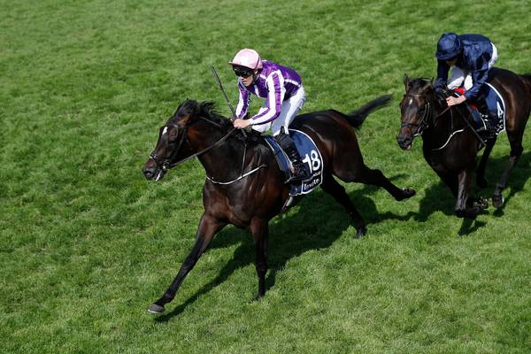 Wings Of Eagles delivers another Derby for Aidan O’Brien