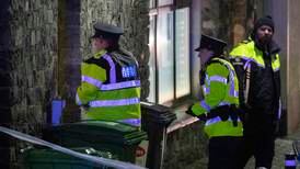 Victim of Co Kildare fatal stabbing is named as gardaí question man