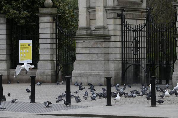 ‘It will cause an accident’: Pigeon-feeding at AG’s office prompts warning on droppings