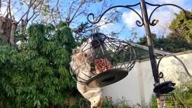 Hang in there, squirrel: reader catches a thief in the act