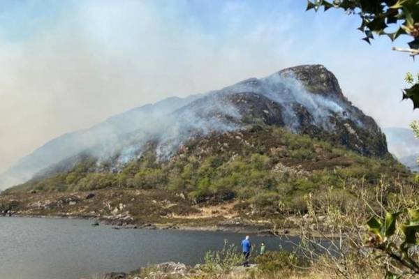 Helicopters bring Killarney park fire under control