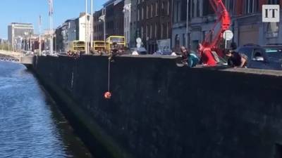 Ya gotta be kitten? Cat pulled alive from Liffey by passersby