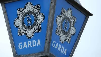 Gardaí issue appeal after woman is injured during aggravated burglary in Co Wicklow