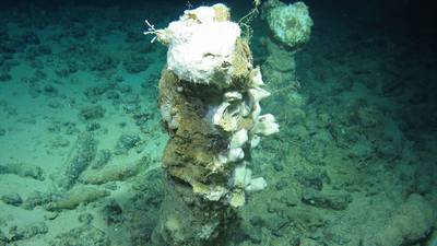 Deep sea chimneys discovered  by Irish science research ship