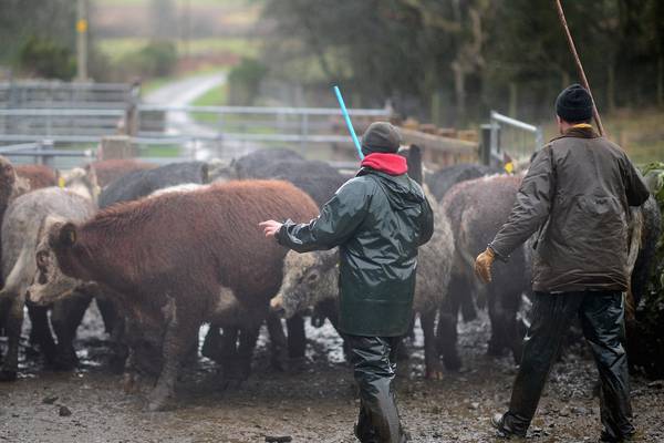One-third of Irish farms at risk in no-deal Brexit, says study
