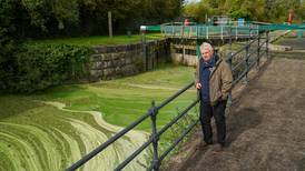 'Lough Neagh is in crisis': Locals left furious over toxic algae bloom