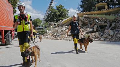 Amatrice quake: Personalising tent ‘homes’ key to surviving trauma
