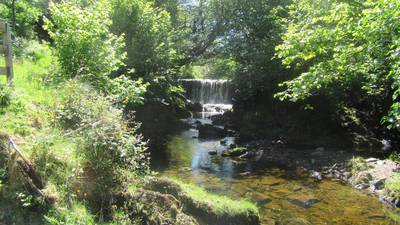 Walk for the Weekend: A gentle ramble in the Slieve Blooms