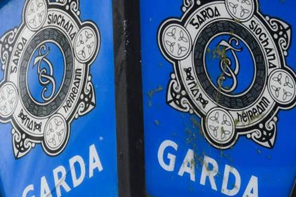Campaign to encourage African-Irish and Travellers to join Garda