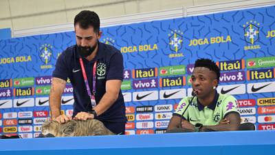 Desert Outtakes: Brazilian press officer criticised for treatment of stray cat