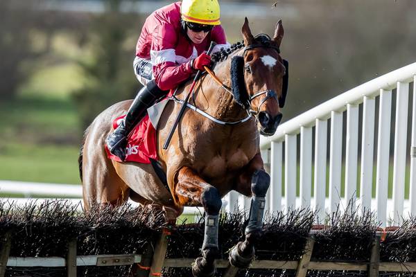 Fairyhouse officials want Tiger Roll in Irish National