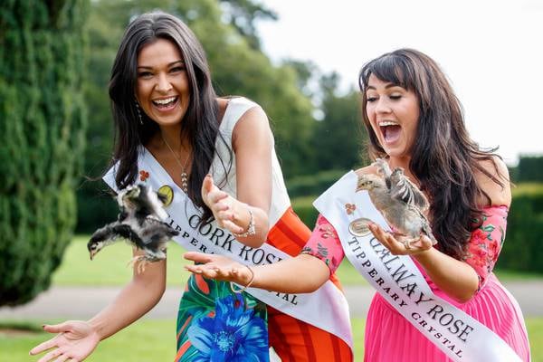 Rose of Tralee 2019: ‘My escort’s name is Kate – and she is HOT’