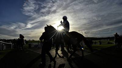 Downpatrick preview: Causey Arch aiming to make winning start