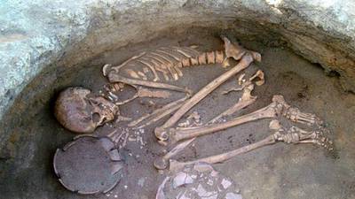 Plaque gives us clues about ancient diets