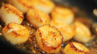 Sweet and nutty: Scallops with brown butter and hazelnuts