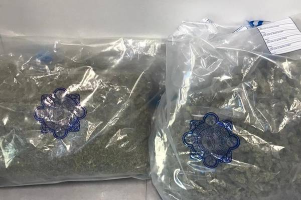 Two men arrested in connection with €100,000 cannabis seizure in Galway