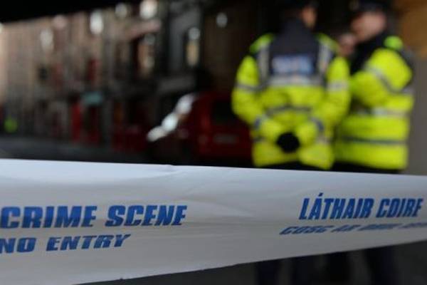 Man in his 20s dies after hit-and-run in Co Meath