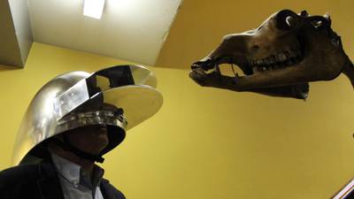 Dead Zoo lets visitors see through the eyes of animals
