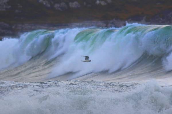 Catching the wave: harnessing Ireland’s water power