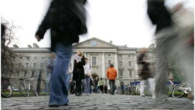 The Irish Times view on TCD’s lawns: let them run wild