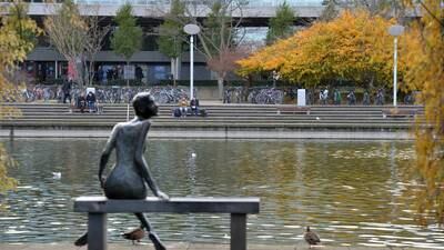 UCD issues plea to alumni to put students up in spare rooms