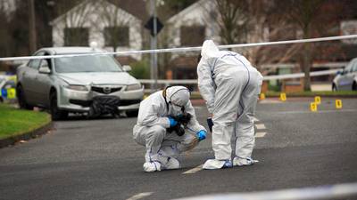 Gardaí identify suspects in Lucan murder