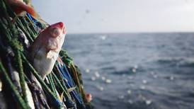 Fishing industry  says new penalty points system ‘inconceivable’