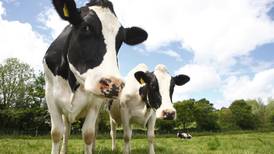 CO2 emissions could be cut by 6% through on-farm efficiencies