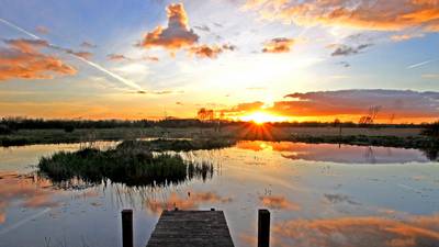 Ireland worst in world for wetlands depletion over past 3 centuries, global study finds