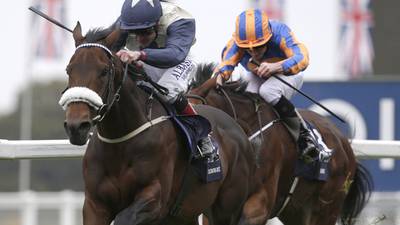Champions Day: Fascinating Rock can fly under the radar again
