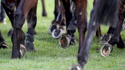 Trainer David Dunne has licence suspended for four months after appeal