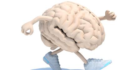 Fit young adults have better brain power than the unfit