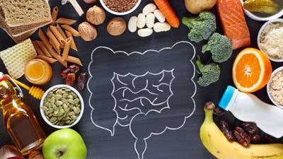 The gut: A gamechanger for healthy lifestyle