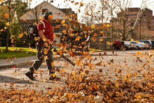 Leaf blowers: a neat metaphor for man’s hatred of nature