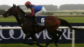 Order of St George can put it up to his elders in Irish Leger at the Curragh