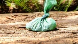 Brianna Parkins: Bagged and abandoned dog poo should be the cornerstone of all local election policy platforms