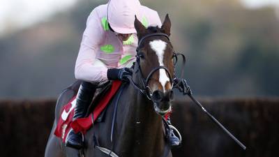Vautour will run in Ryanair Chase and not the Gold Cup