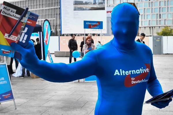 ‘Germanness’ obsession of AfD ‘justifies state surveillance’