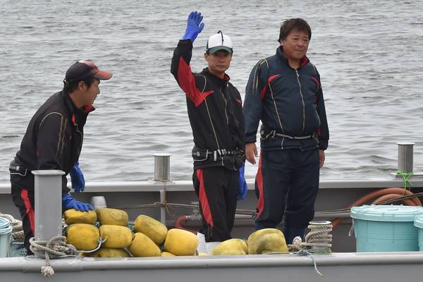 Japan begins first commercial whale hunt in more than 30 years