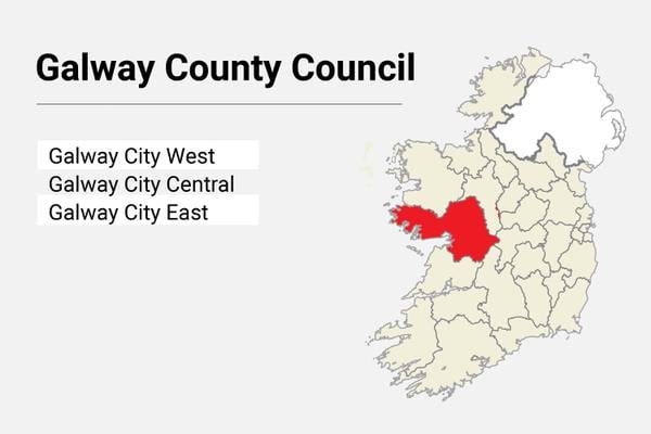 Local Elections: Galway County Council