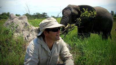 Irish couple working to resolve conflict between elephants and farmers in Africa