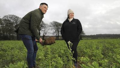 Tillage farmers form alliance with Guinness to pursue ‘regenerative agriculture’